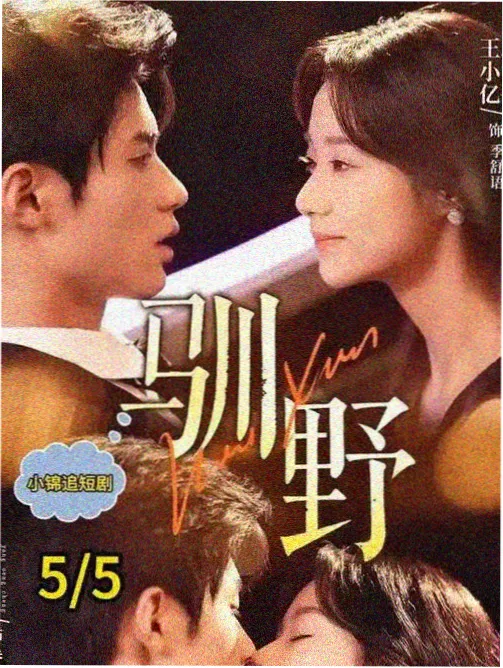 狼国影视复看榜条目封面